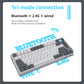 Darmoshark K8 Trio-mode Mechanical RGB gaming Keyboard With Gasket Mount structure & TFT display White Metcha Switch