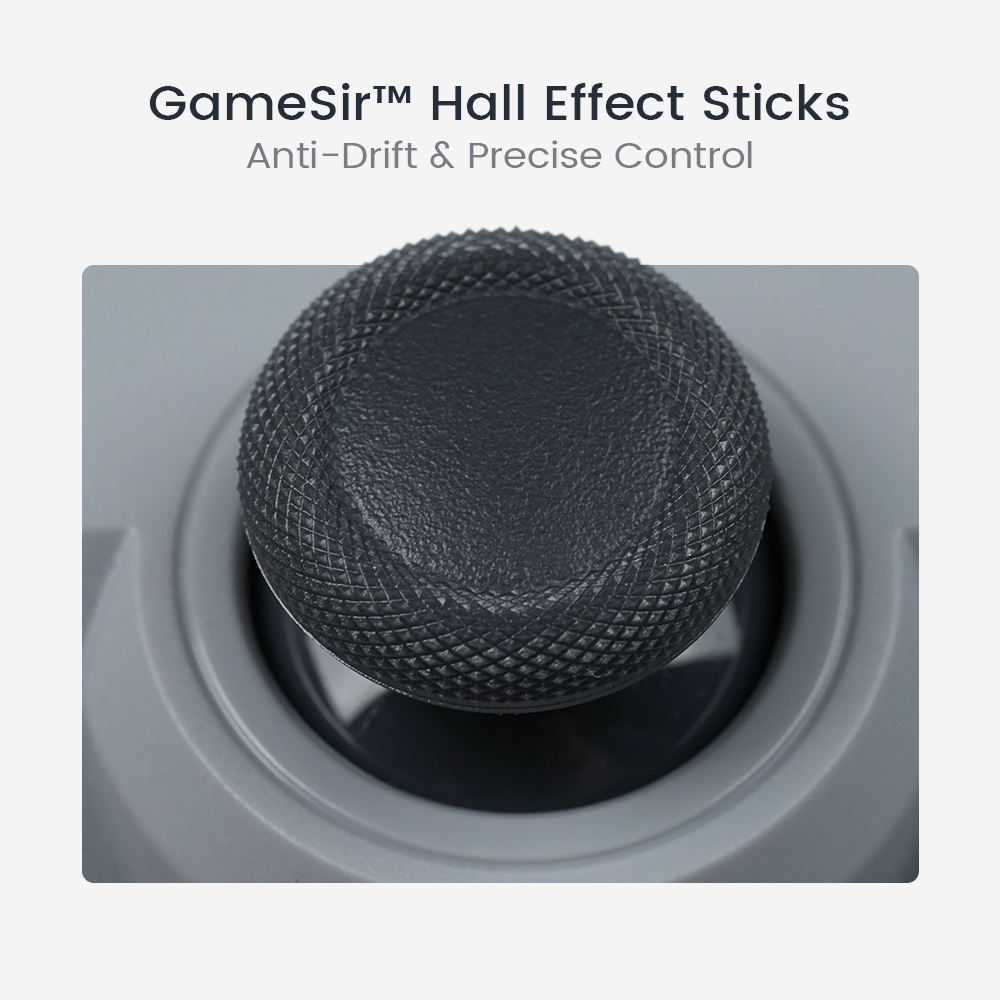 GameSir Tegenaria Lite Wired Symmetric Game Controller Retro Gray